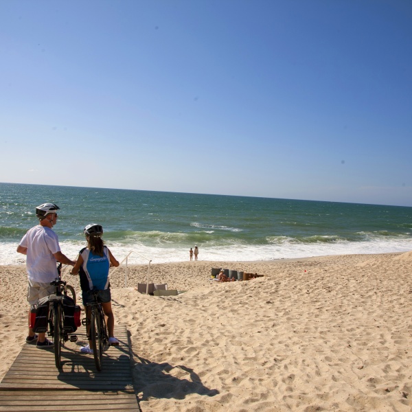 Cyclists enjoying the coastal view